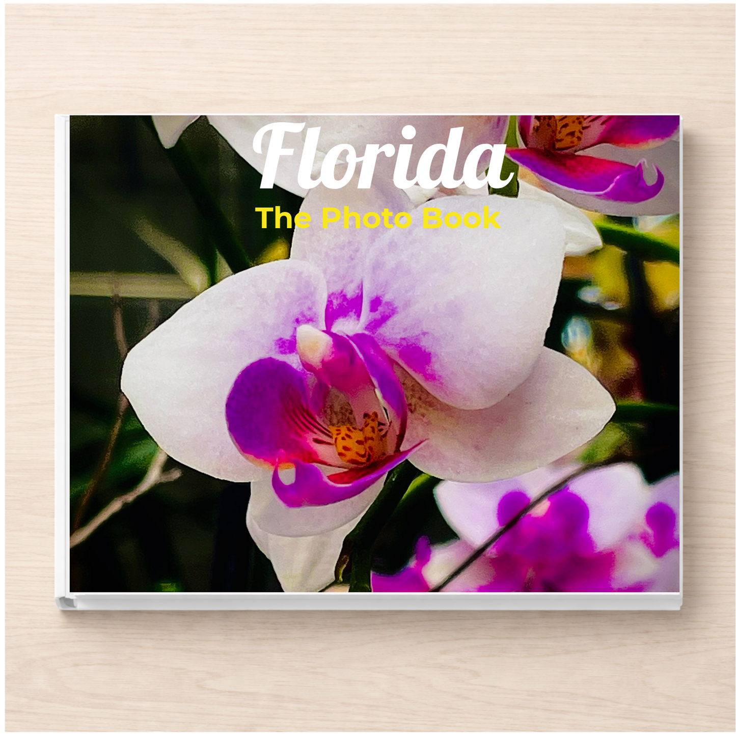 Florida: The Photo Book