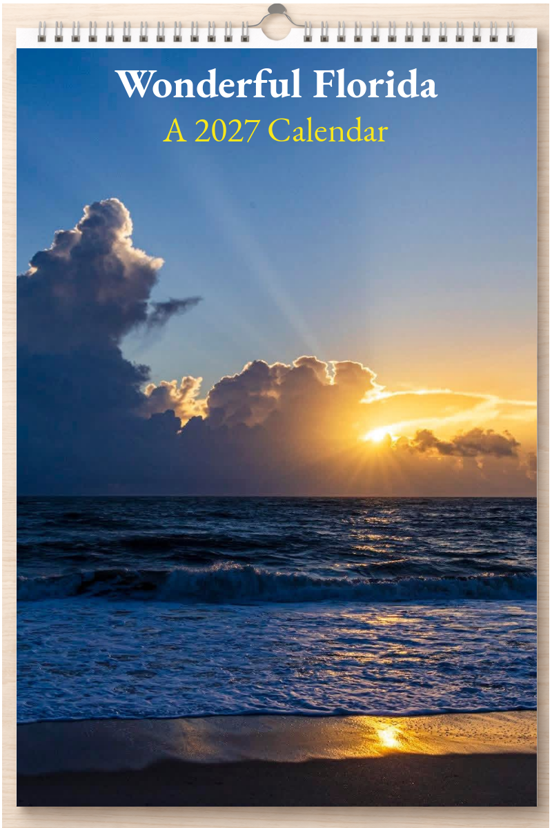 Wonderful Florida: A 2027 Calendar