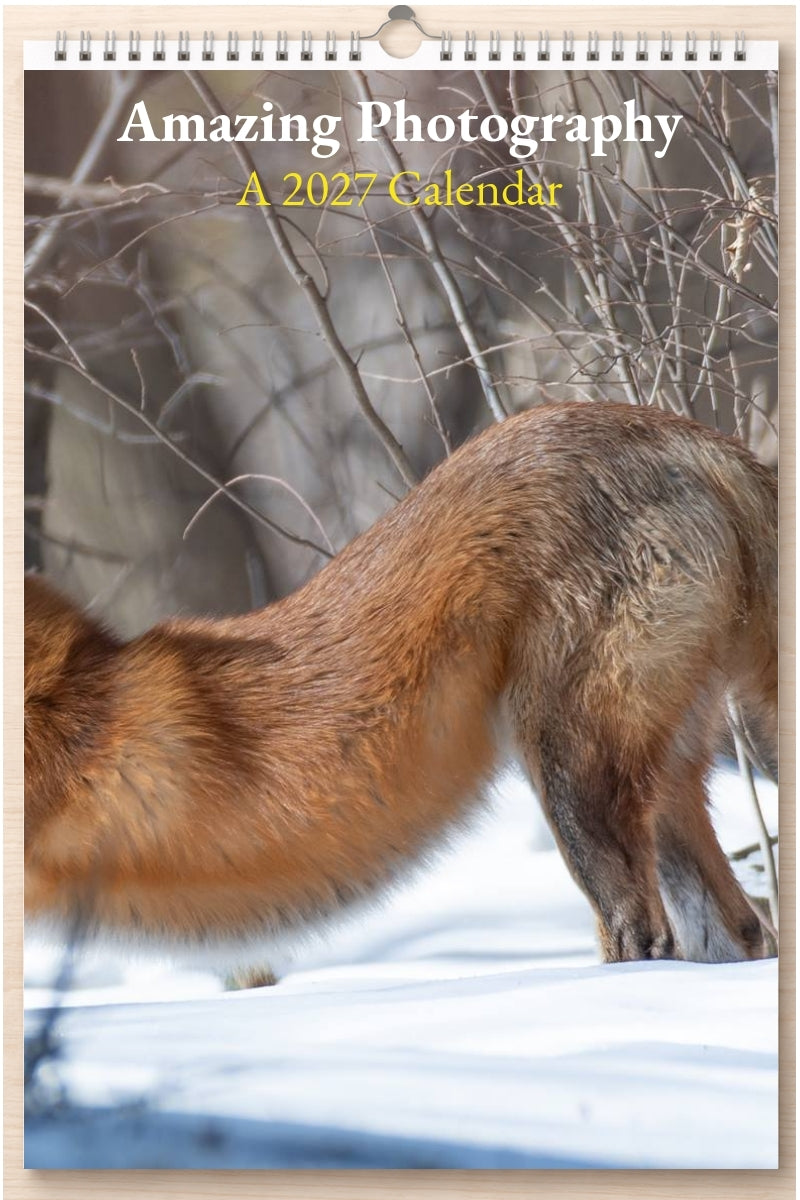 Amazing Photography: A 2027 Calendar