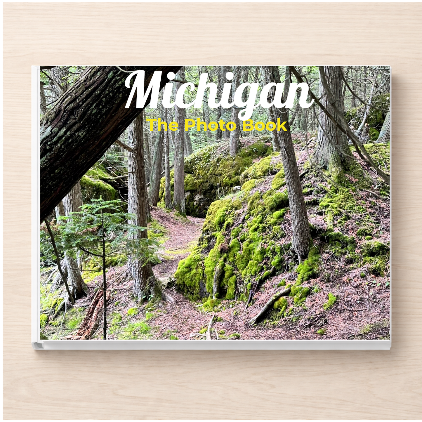 Michigan: The Photo Book