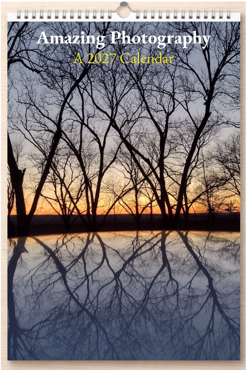 Amazing Photography: A 2027 Calendar