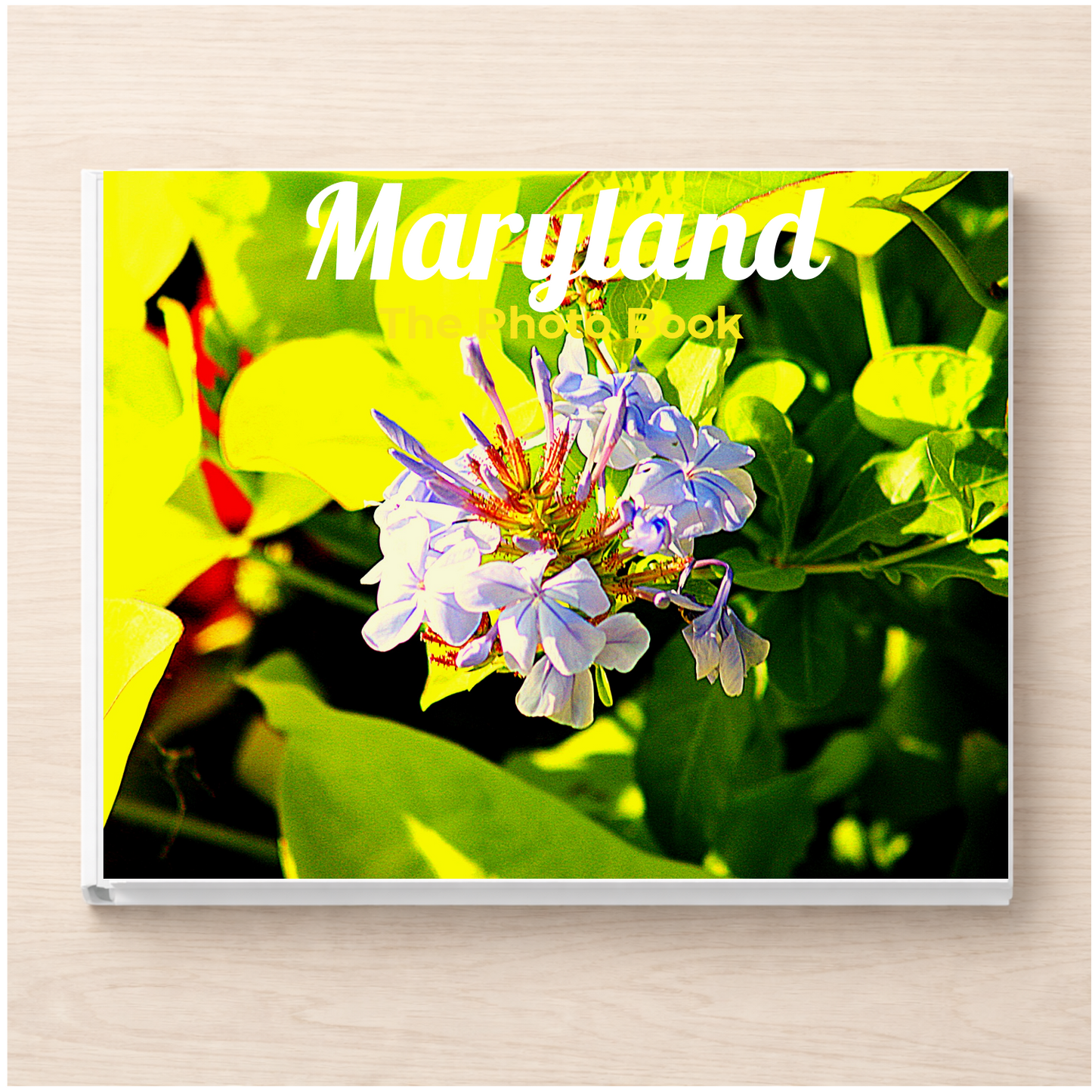 Maryland: The Photo Book