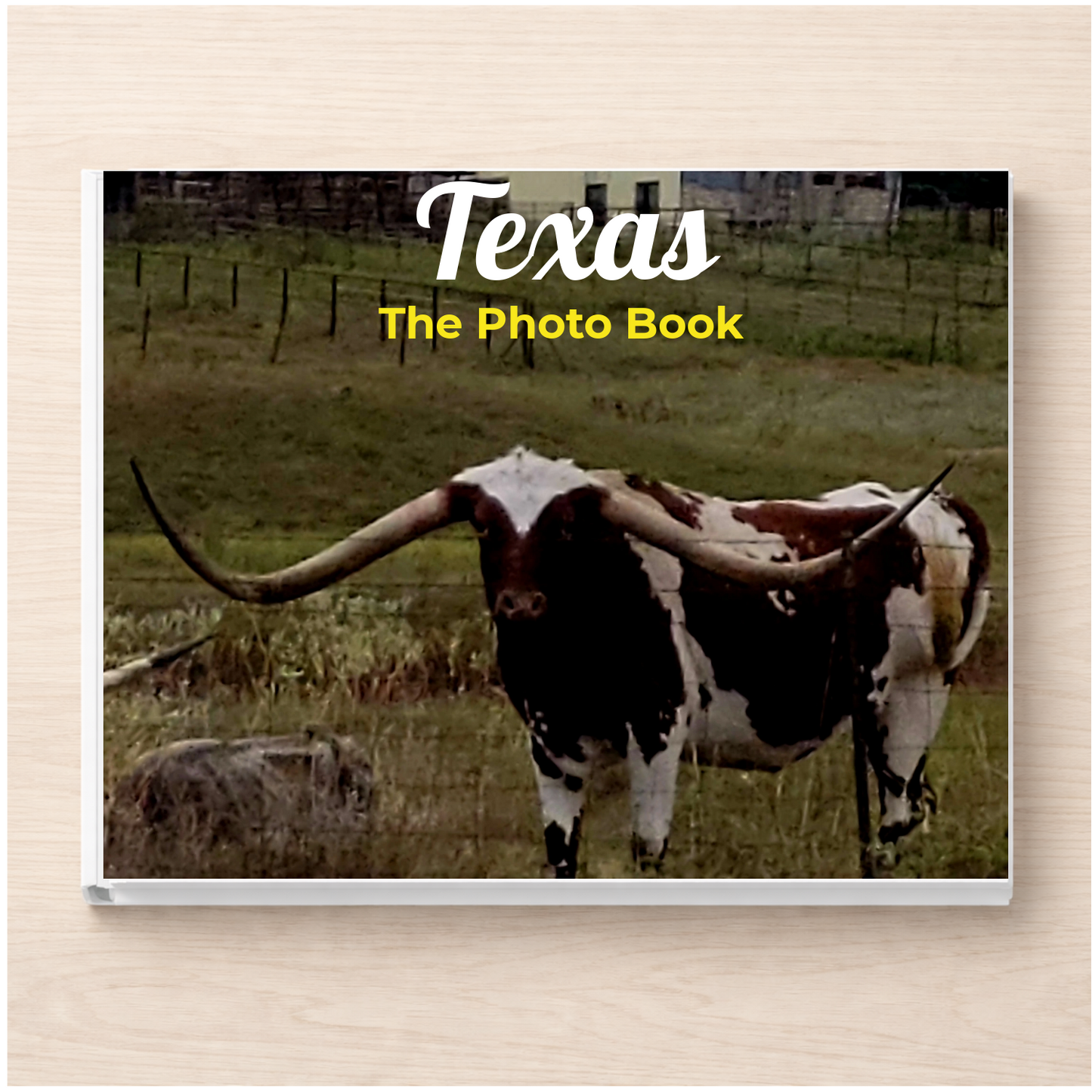 Texas: The Photo Book