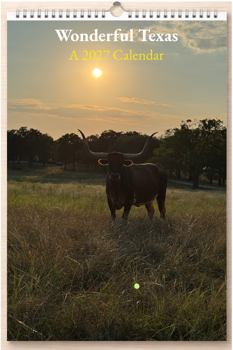 Wonderful Texas: A 2027 Calendar