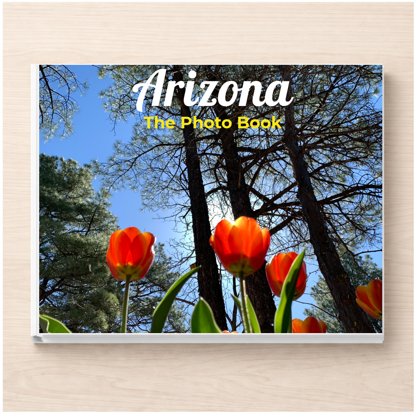 Arizona: The Photo Book