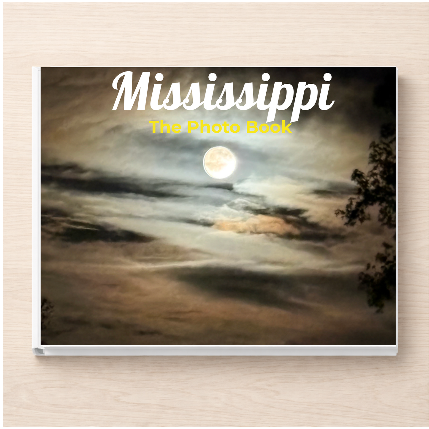 Mississippi: The Photo Book