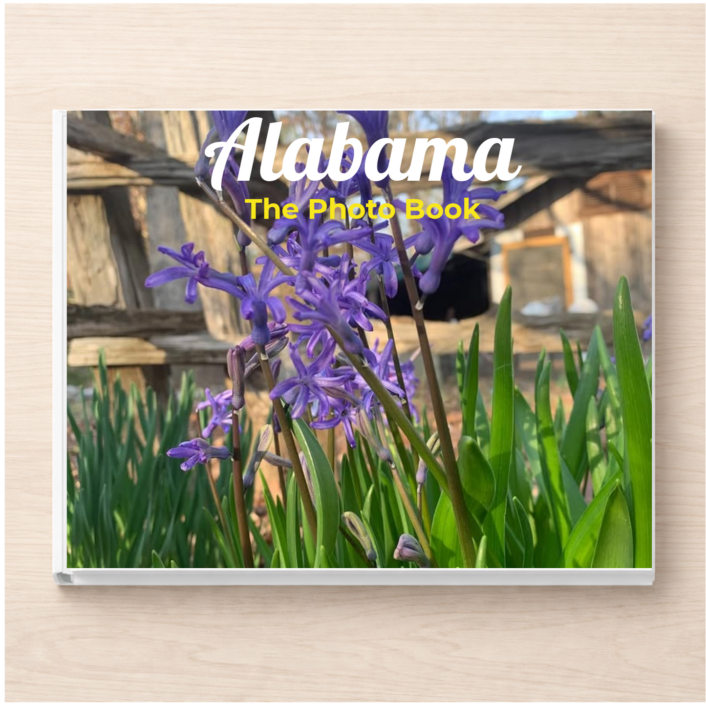 Alabama: The Photo Book