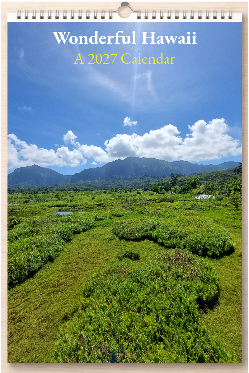 Wonderful Hawaii: A 2027 Calendar