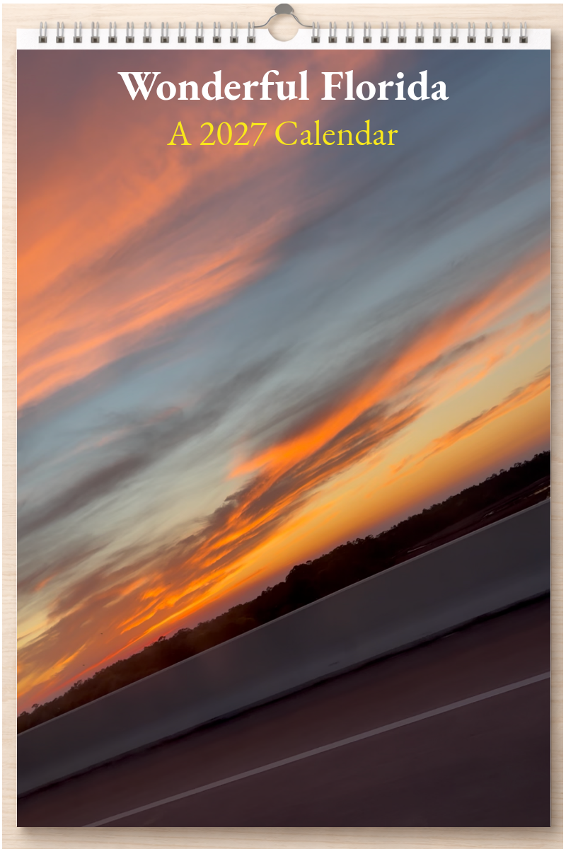Wonderful Florida: A 2027 Calendar