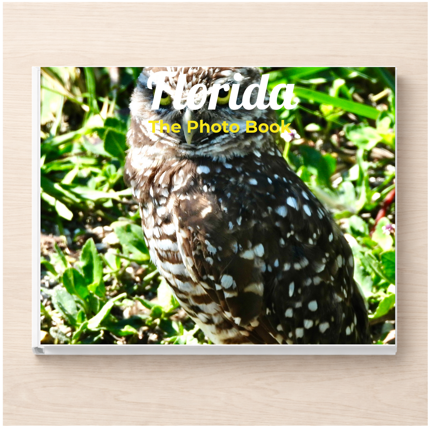 Florida: The Photo Book