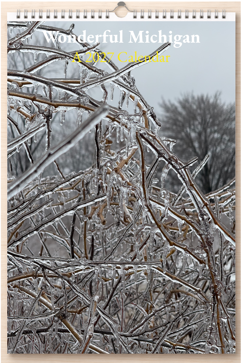 Wonderful Michigan: A 2027 Calendar