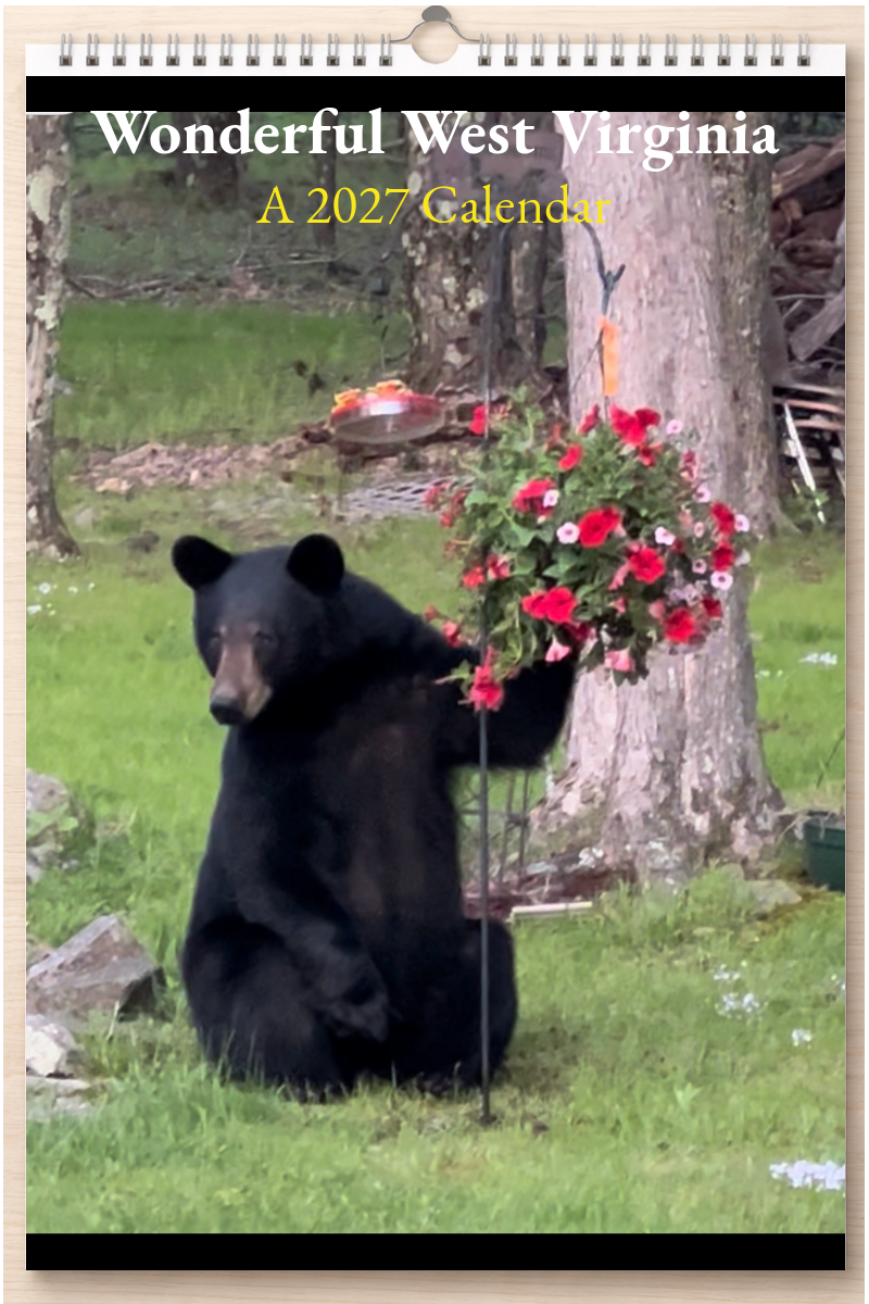 Wonderful West Virginia: A 2027 Calendar