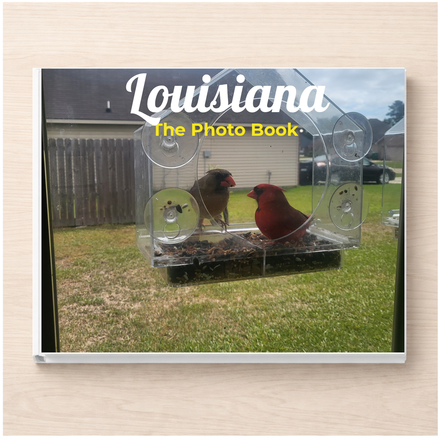 Louisiana: The Photo Book