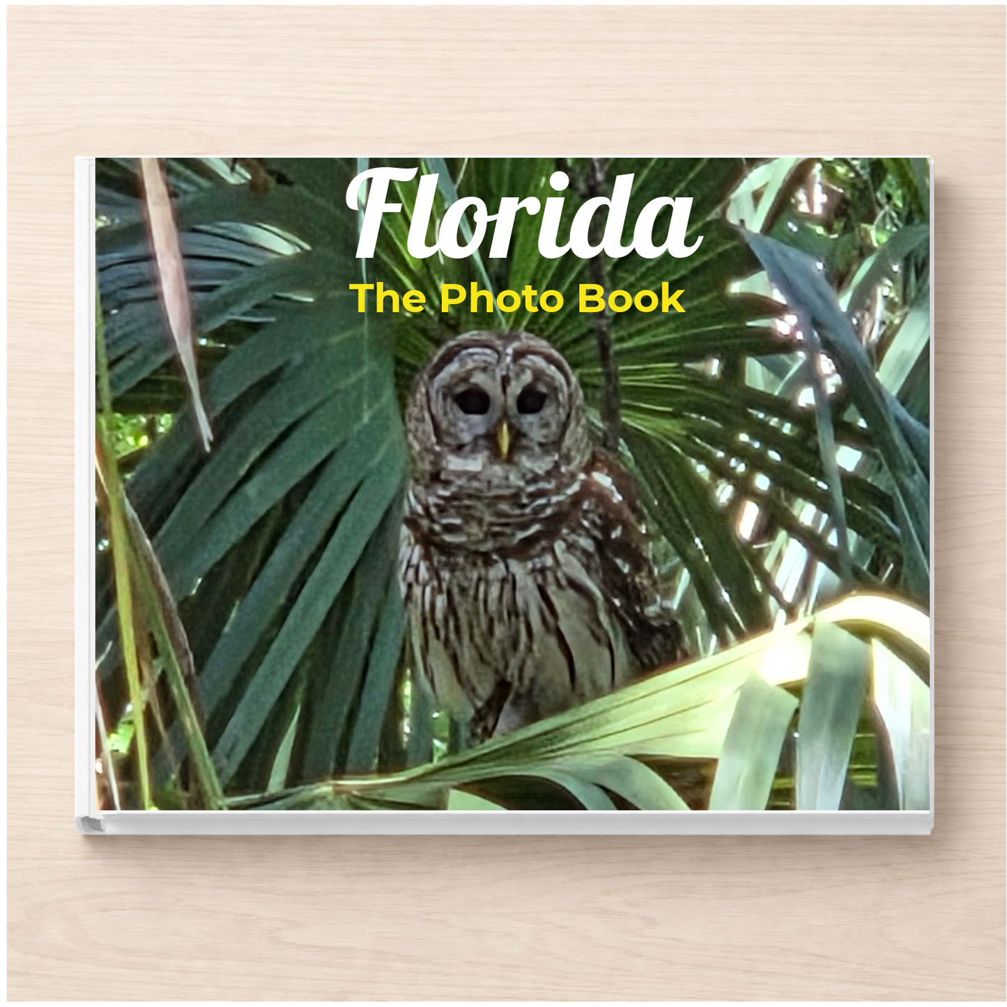 Florida: The Photo Book