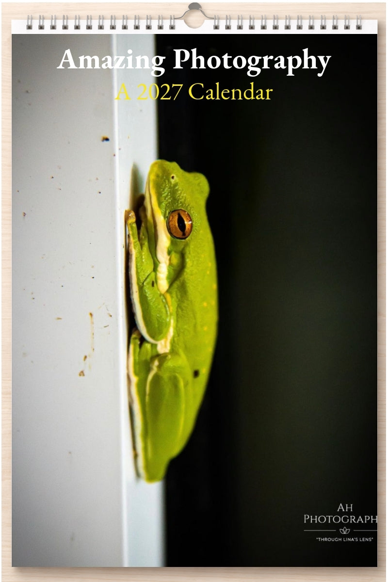 Amazing Photography: A 2027 Calendar