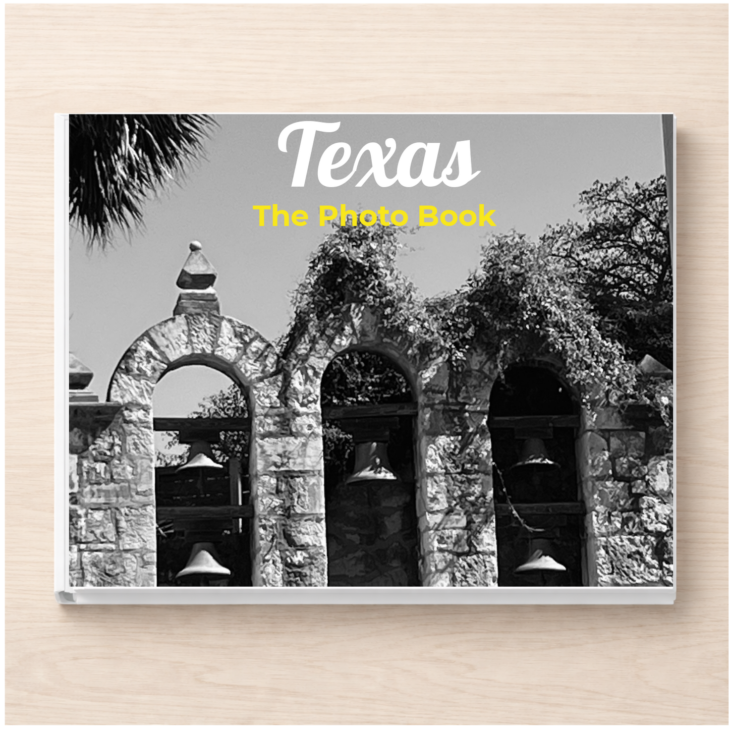 Texas: The Photo Book
