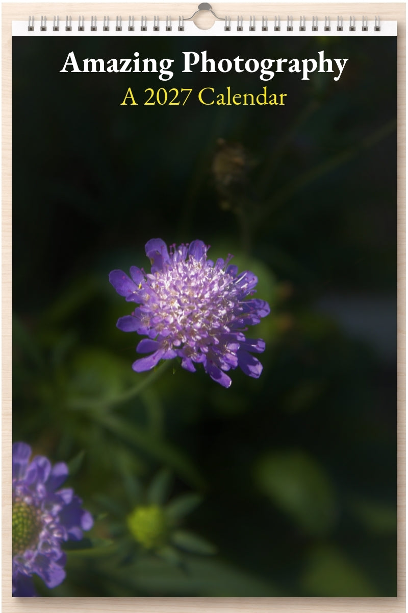 Amazing Photography: A 2027 Calendar