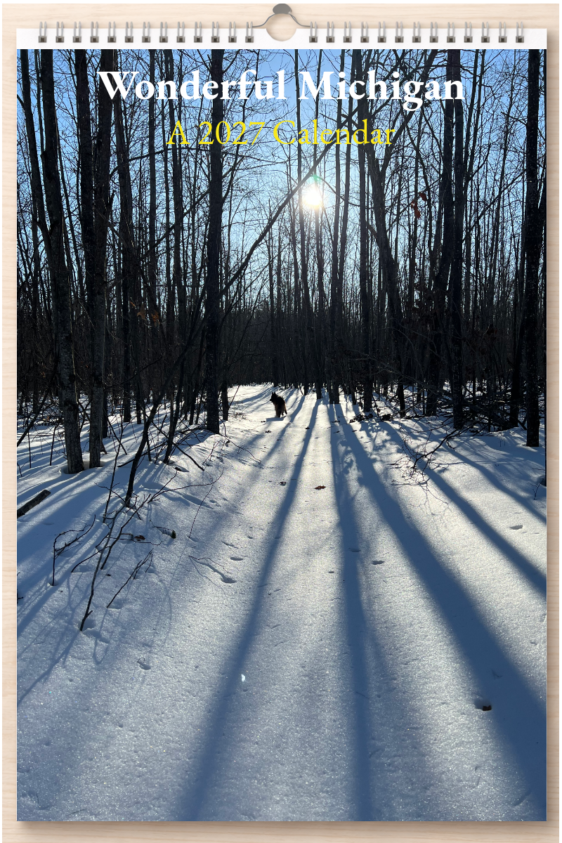 Wonderful Michigan: A 2027 Calendar