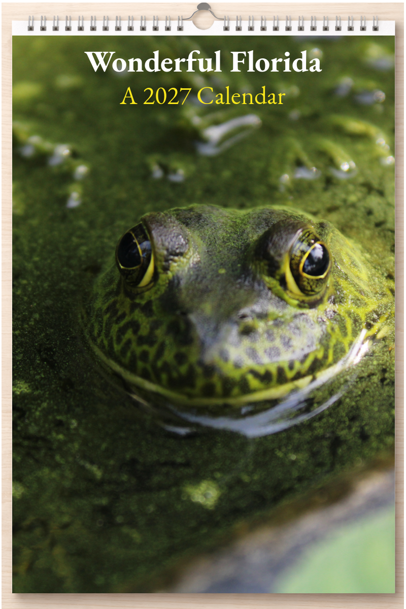 Wonderful Florida: A 2027 Calendar