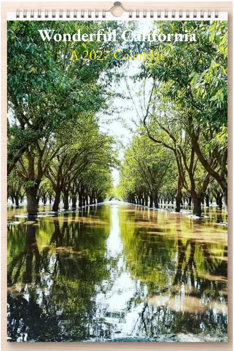 Wonderful California: A 2027 Calendar