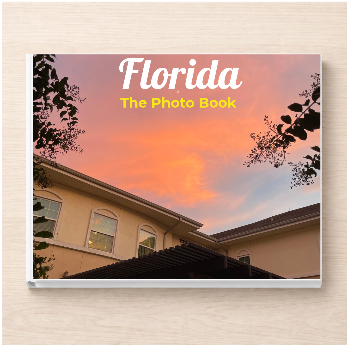 Florida: The Photo Book