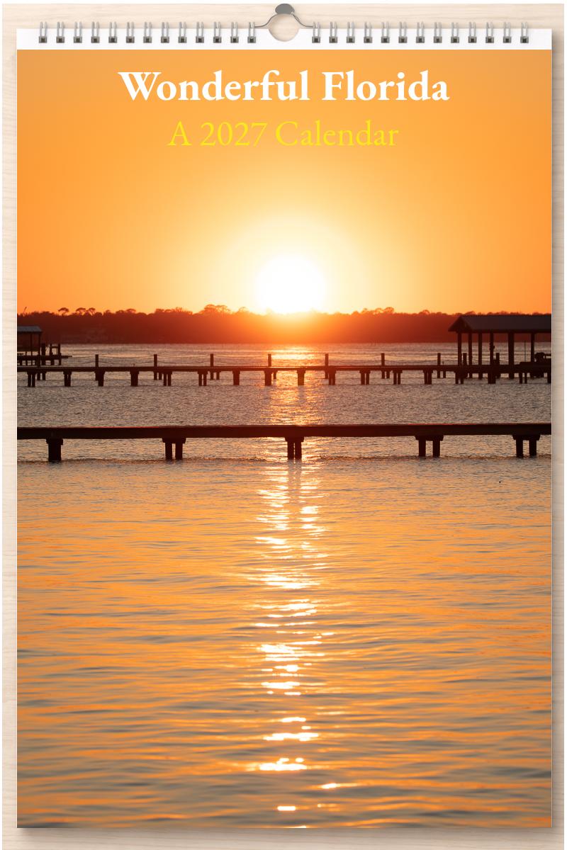 Wonderful Florida: A 2027 Calendar
