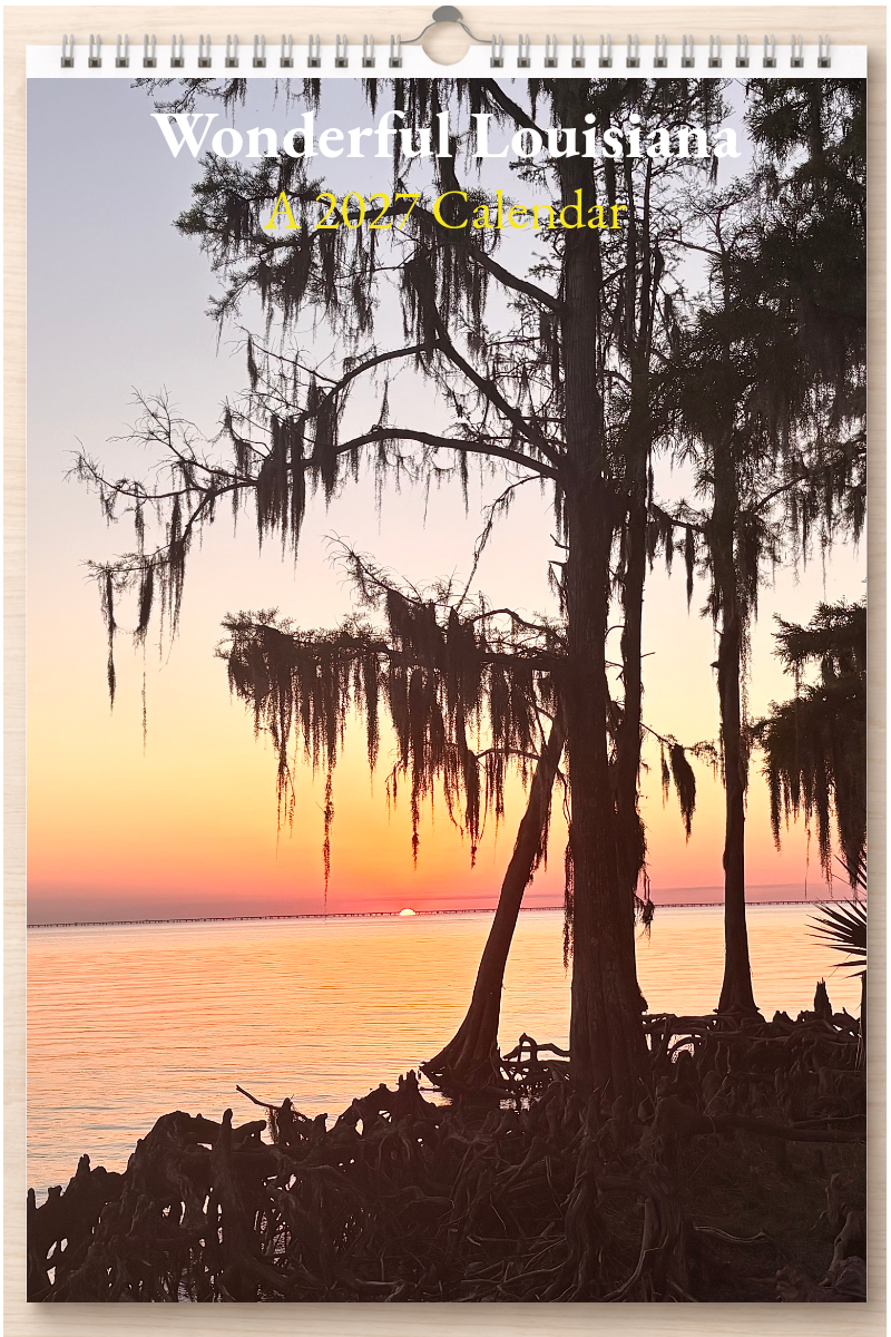 Wonderful Louisiana: A 2027 Calendar