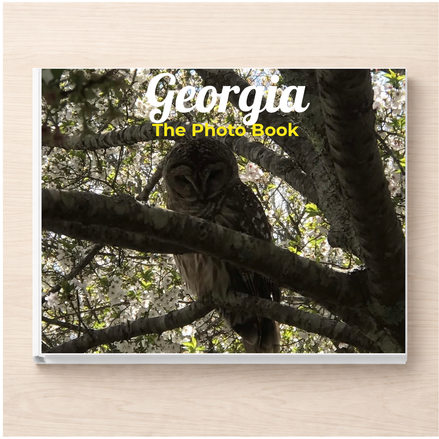 Georgia: The Photo Book