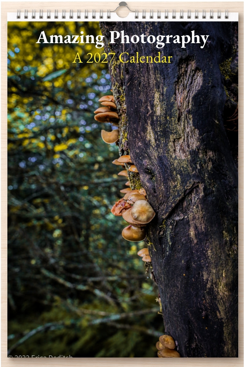 Amazing Photography: A 2027 Calendar