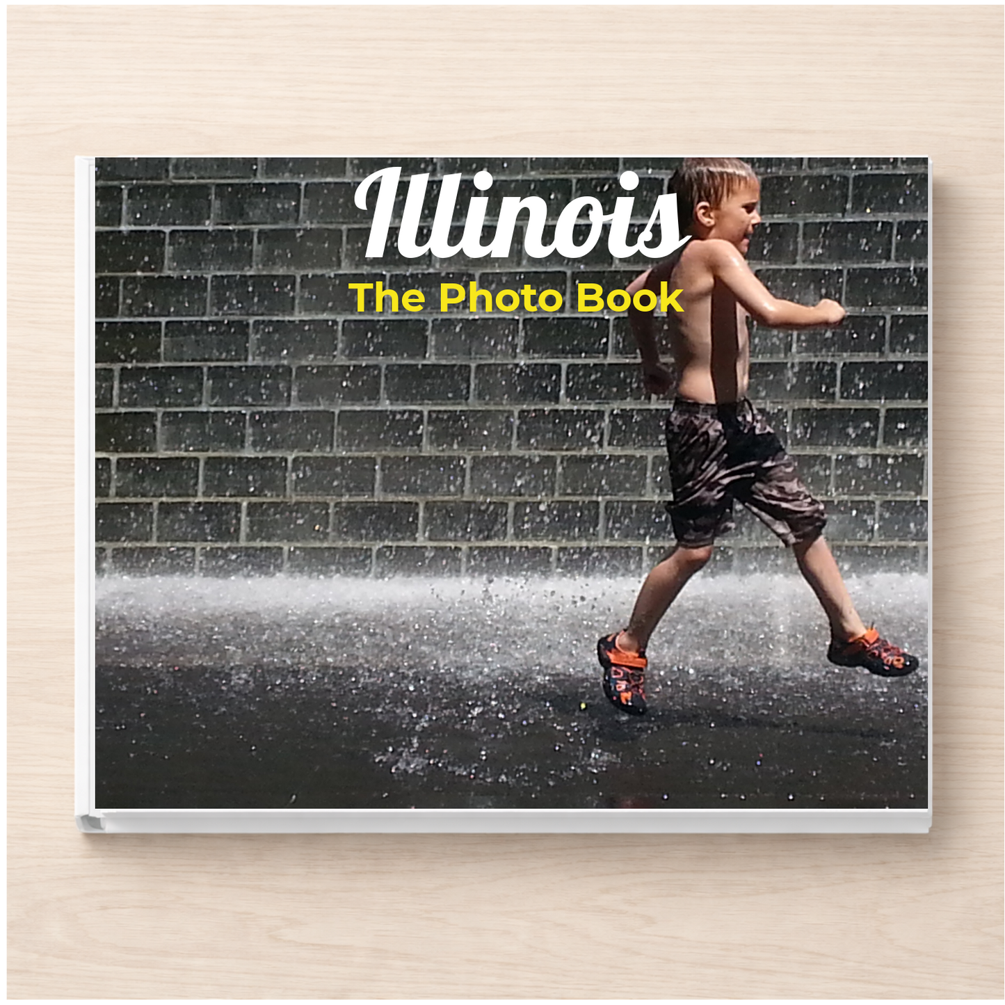 Illinois: The Photo Book