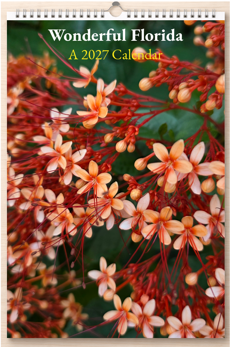 Wonderful Florida: A 2027 Calendar