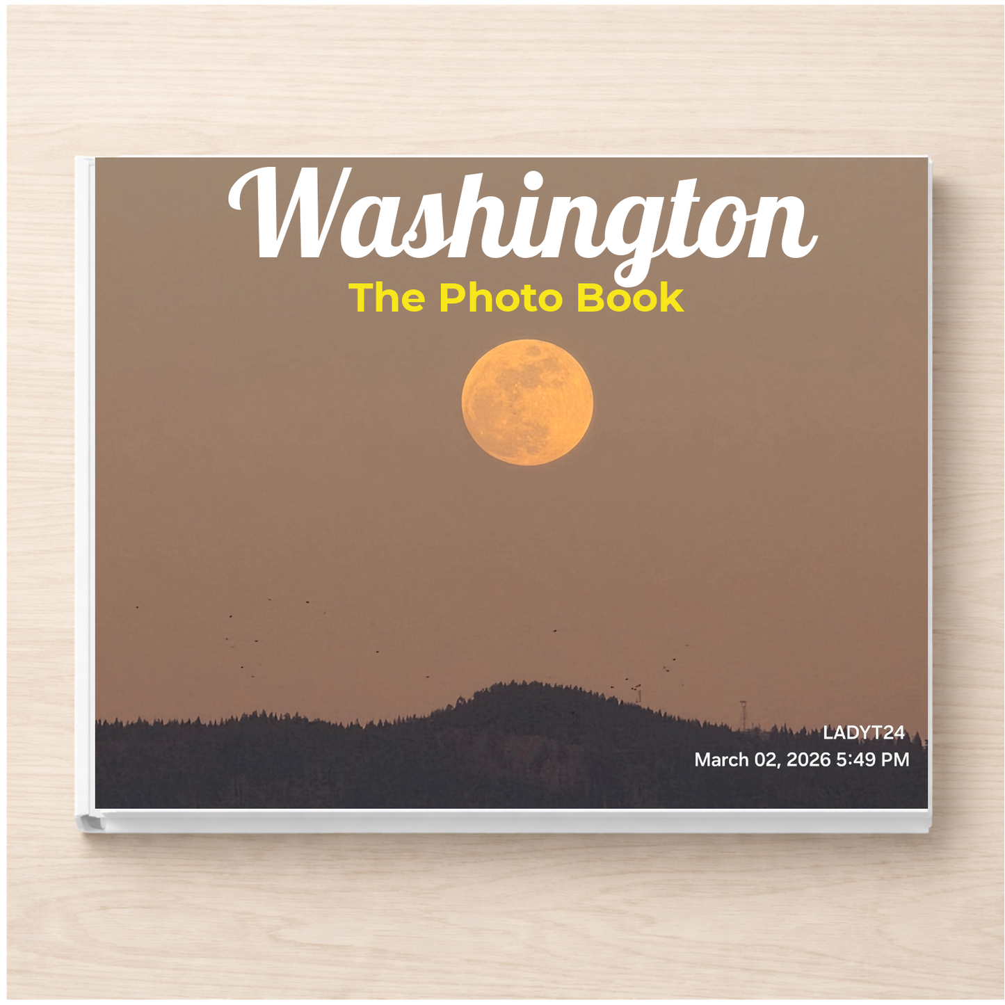 Washington: The Photo Book