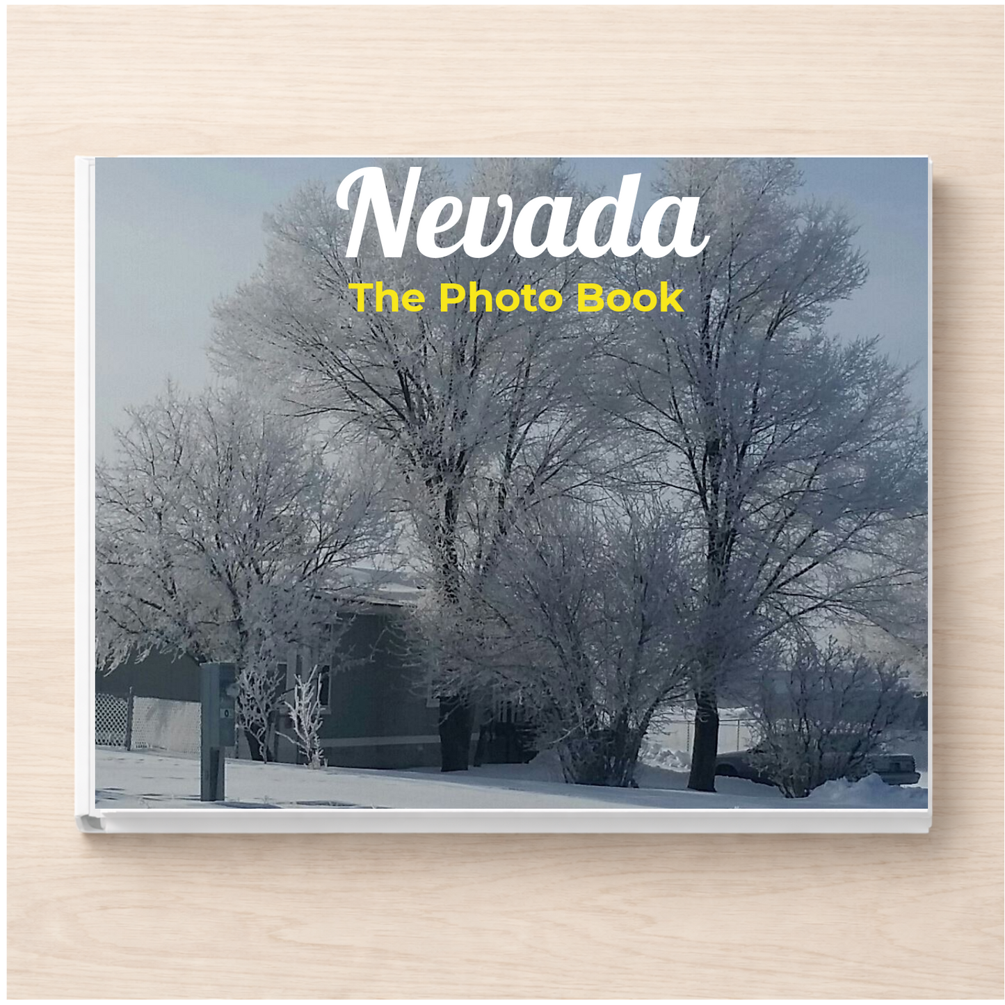 Nevada: The Photo Book