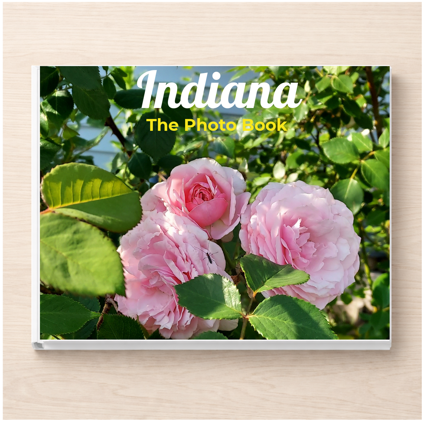 Indiana: The Photo Book