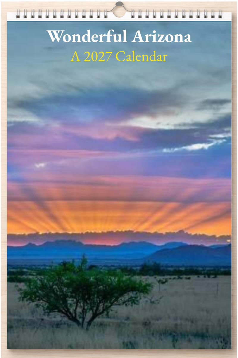 Wonderful Arizona: A 2027 Calendar