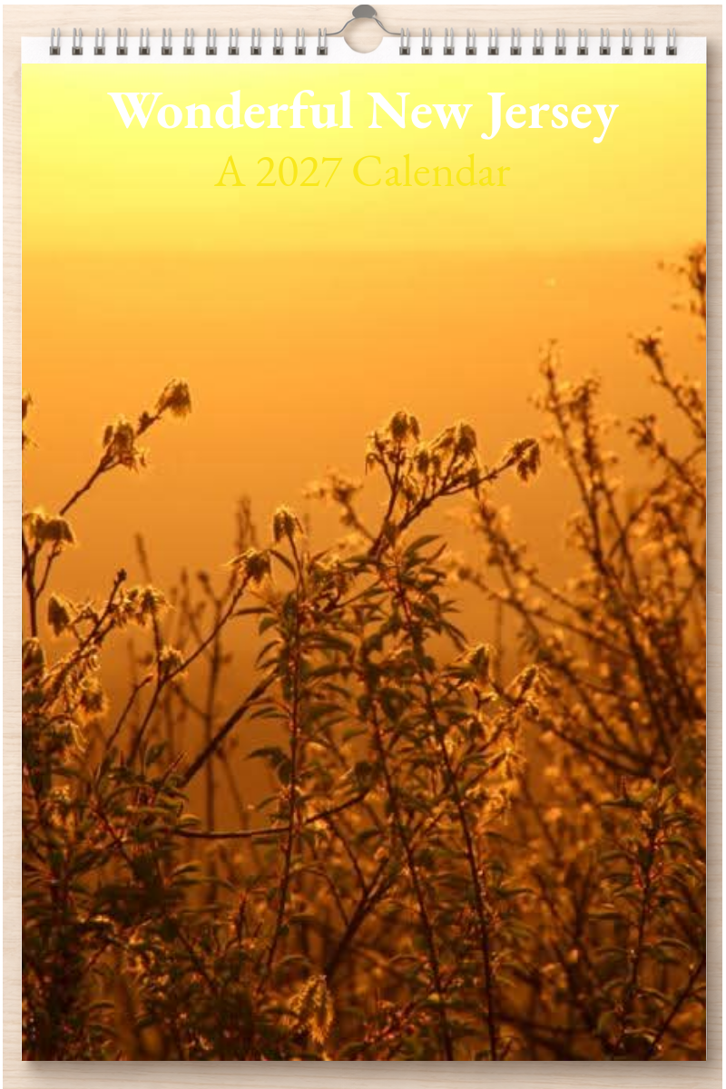 Wonderful New Jersey: A 2027 Calendar