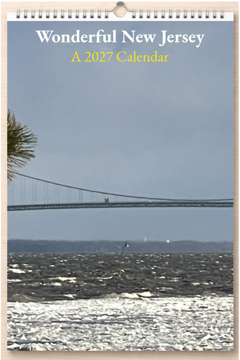 Wonderful New Jersey: A 2027 Calendar