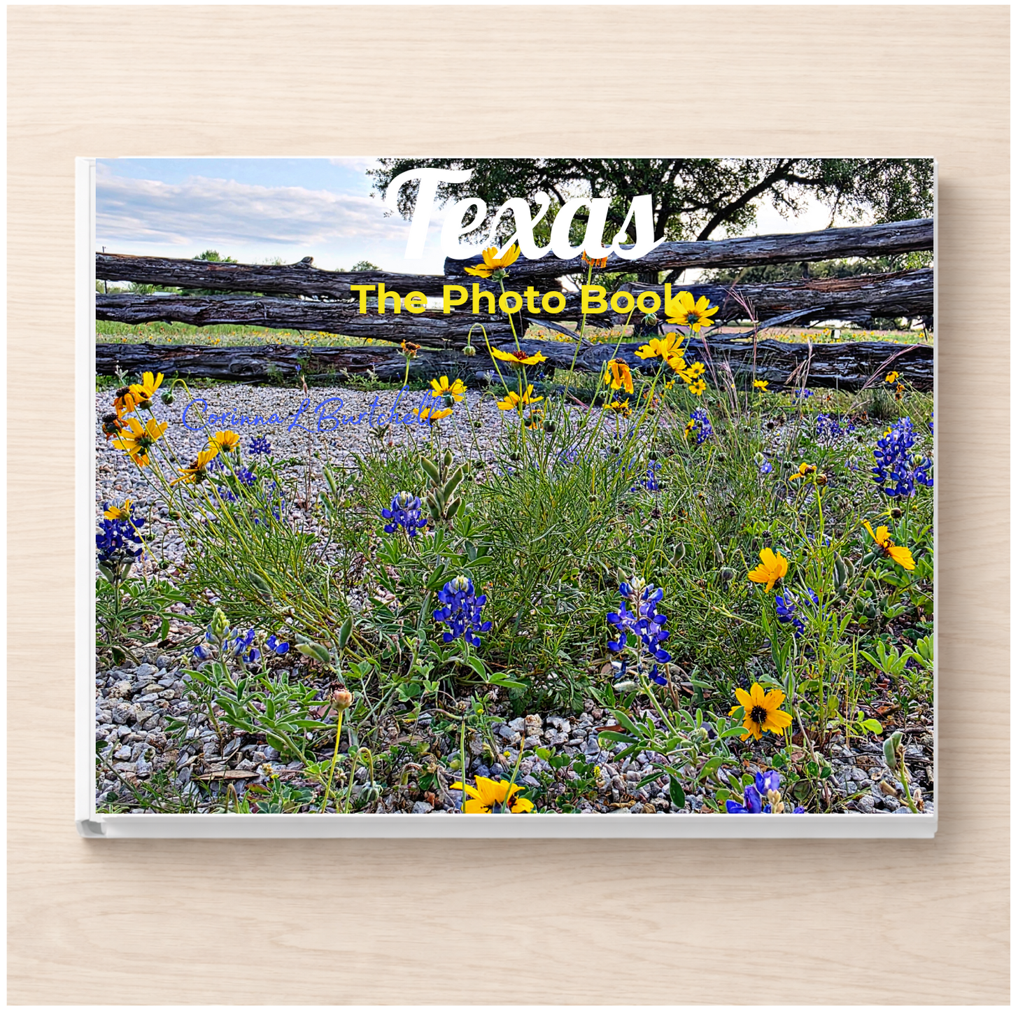 Texas: The Photo Book