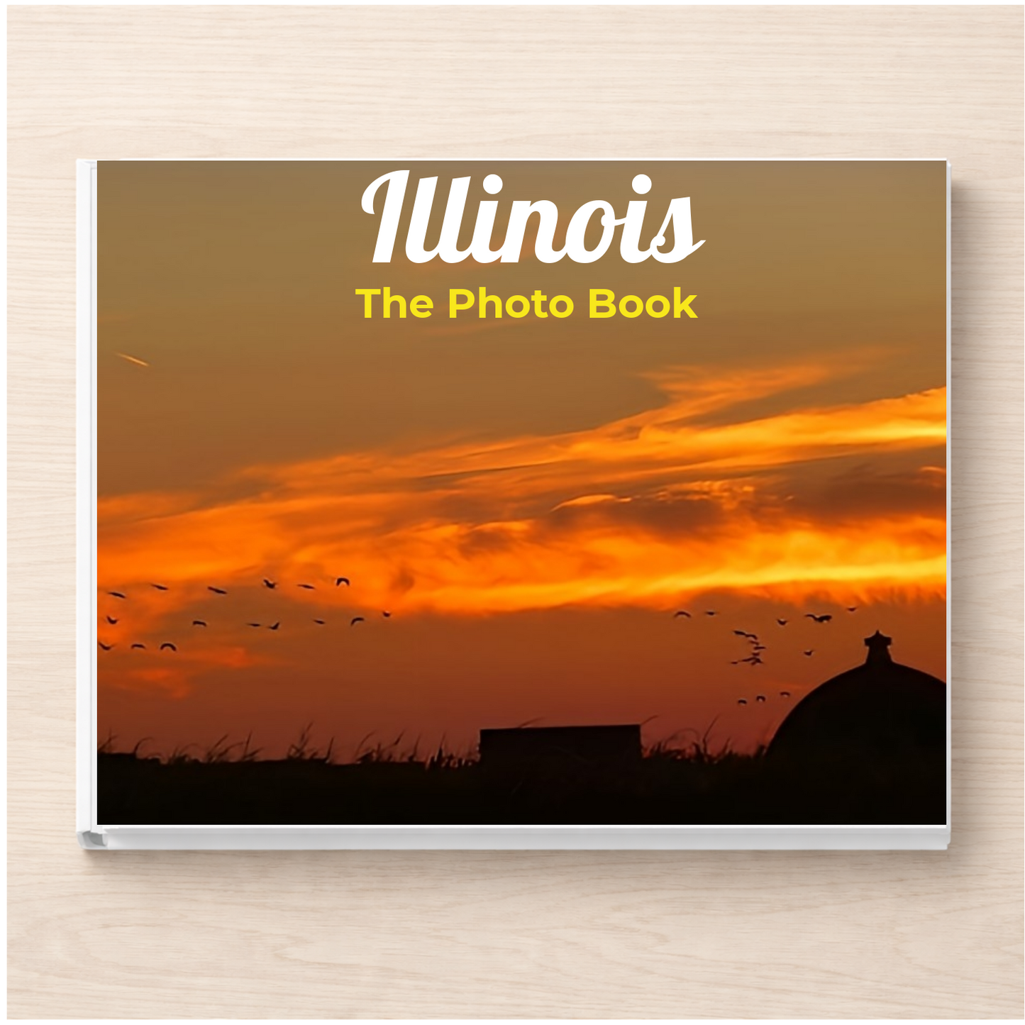 Illinois: The Photo Book