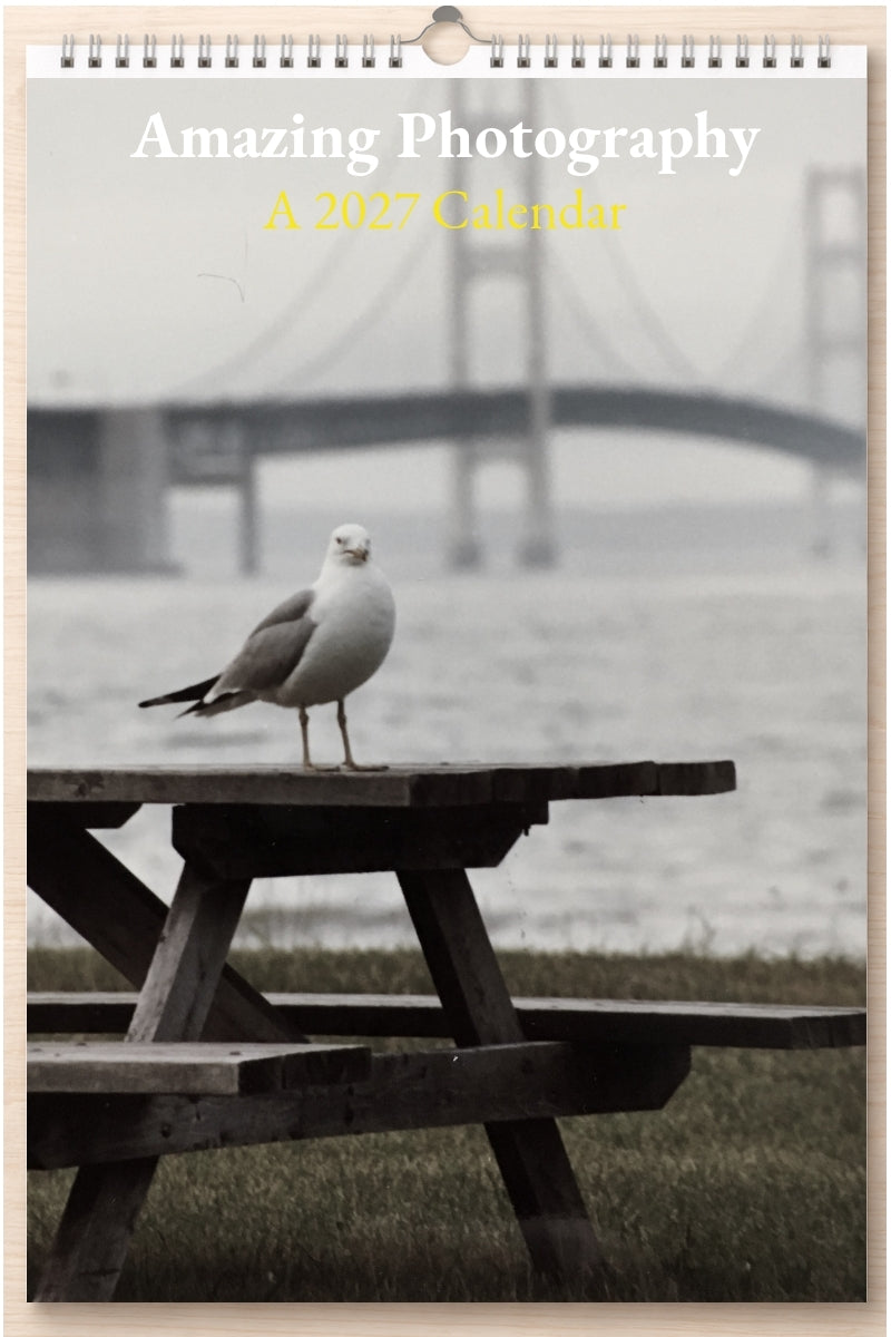 Amazing Photography: A 2027 Calendar