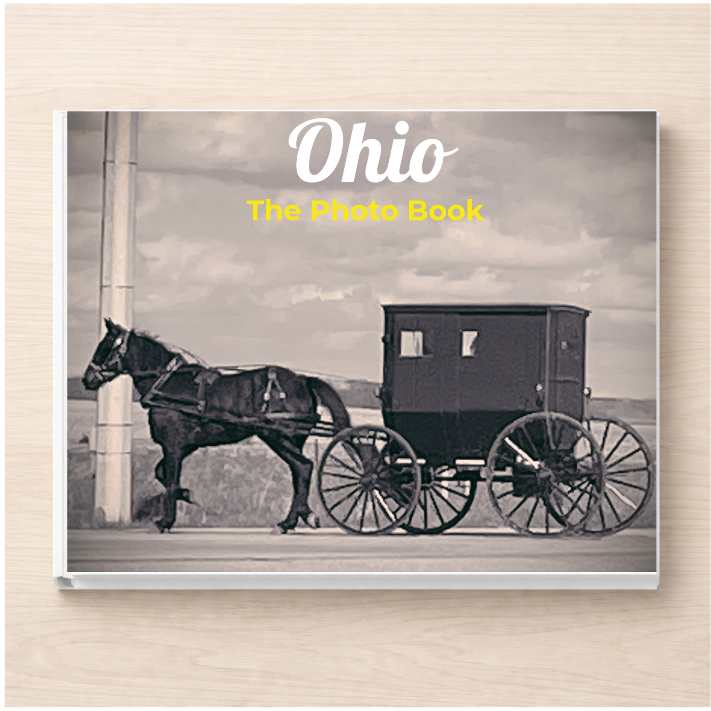 Ohio: The Photo Book
