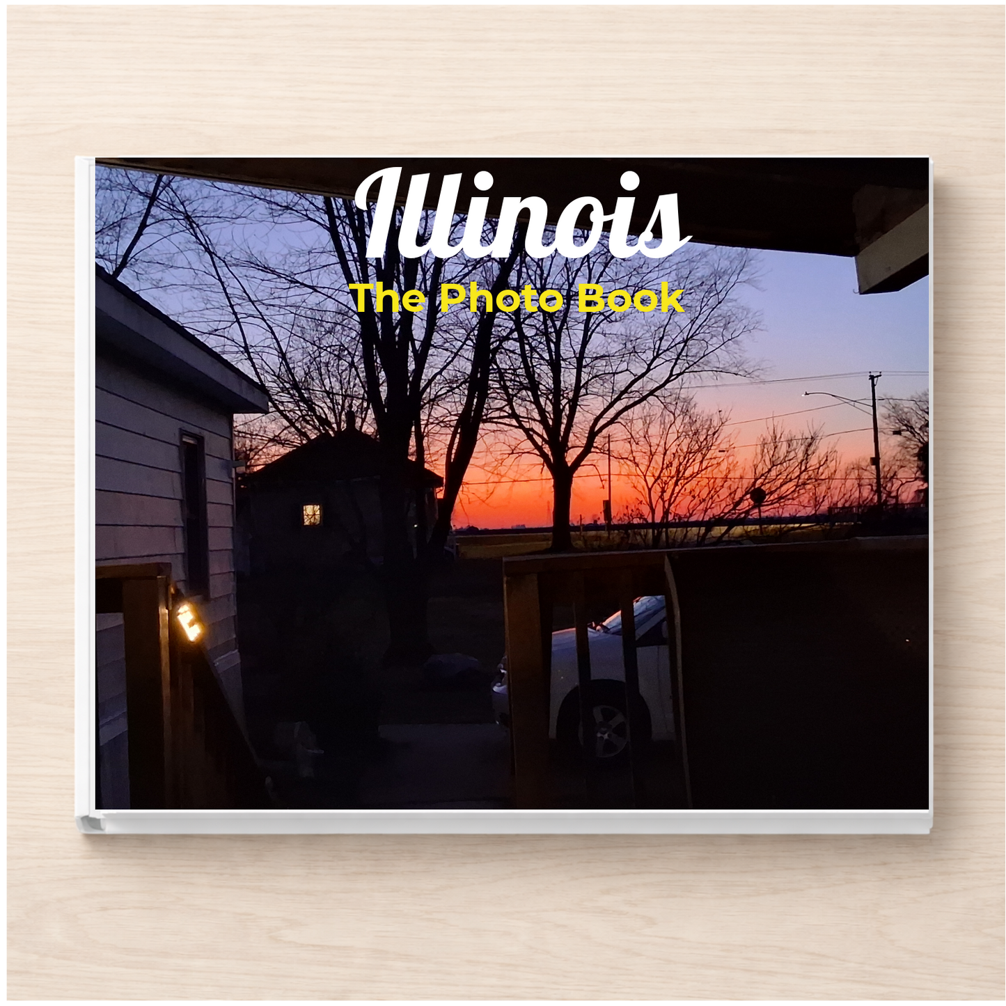 Illinois: The Photo Book