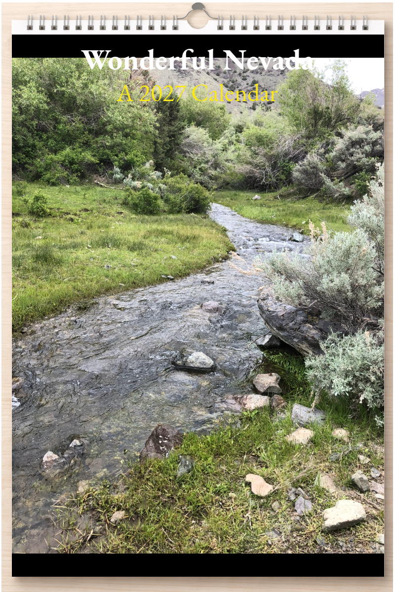 Wonderful Nevada: A 2027 Calendar