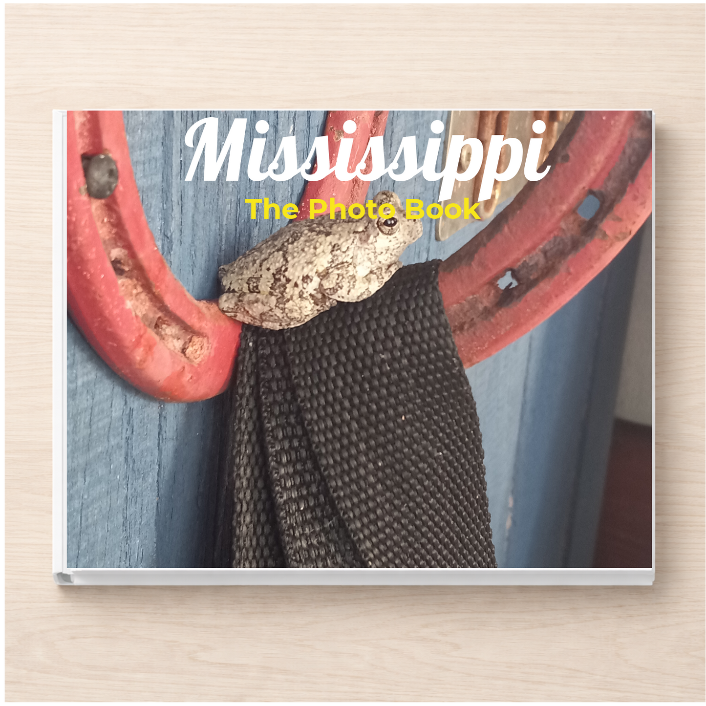 Mississippi: The Photo Book