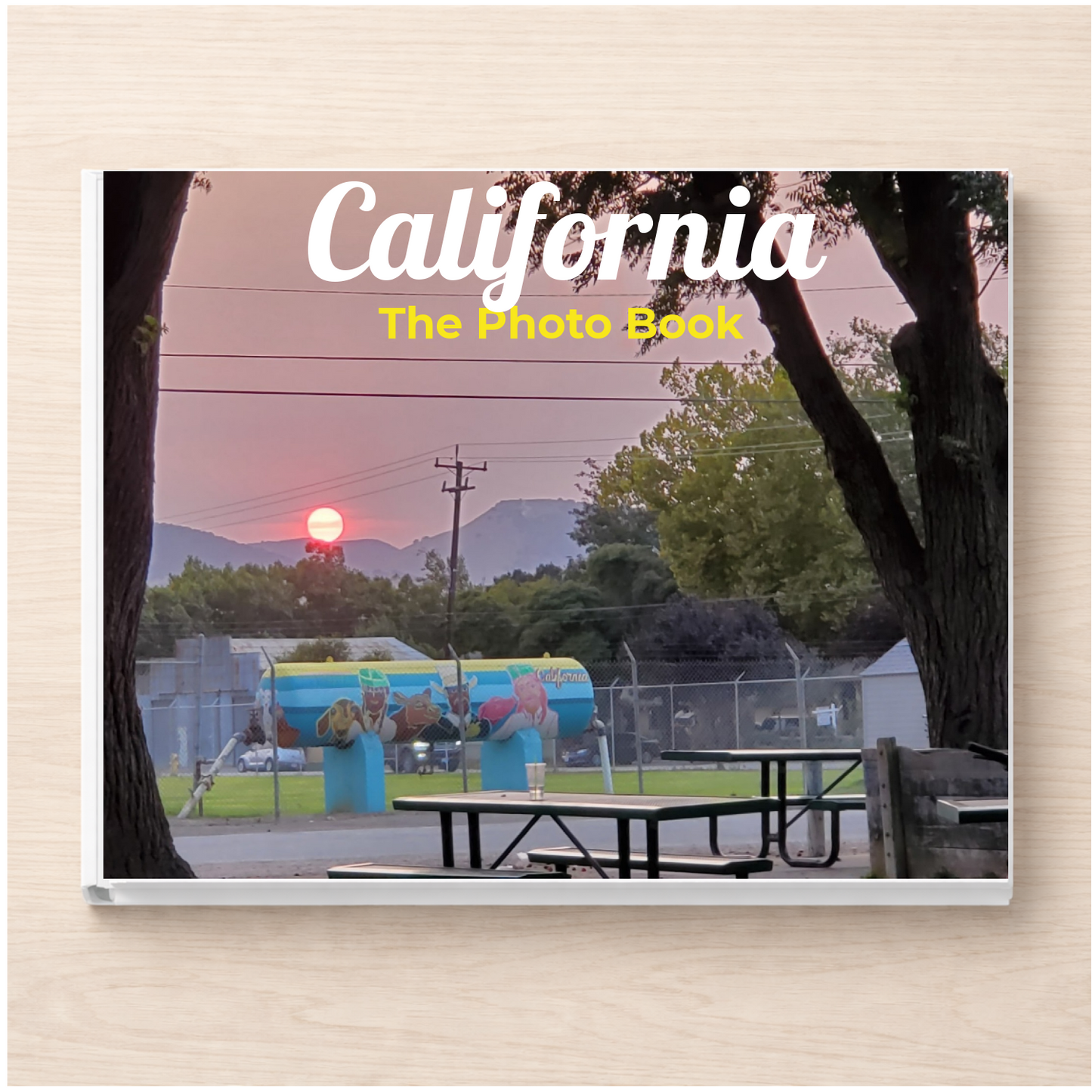 California: The Photo Book