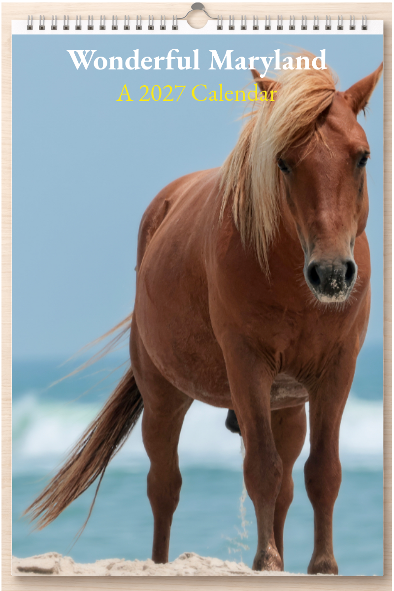 Wonderful Maryland: A 2027 Calendar