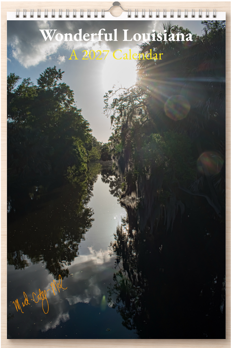 Wonderful Louisiana: A 2027 Calendar