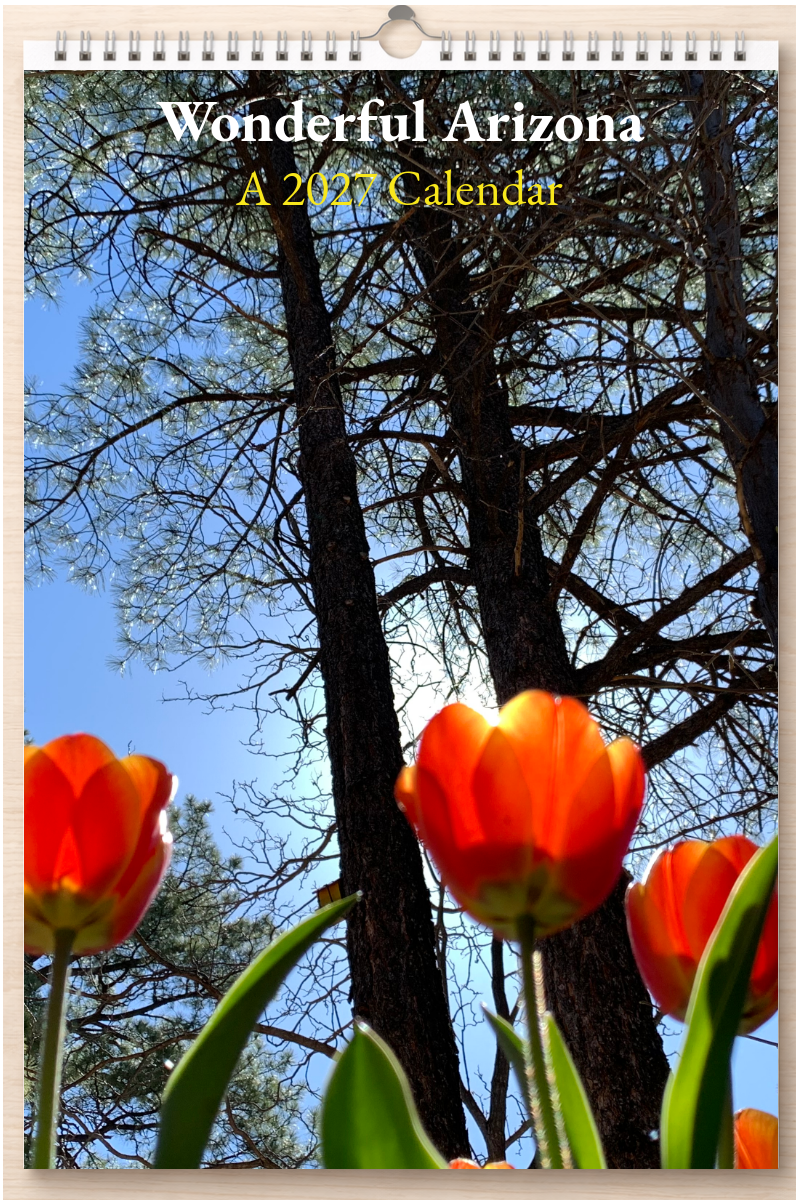 Wonderful Arizona: A 2027 Calendar