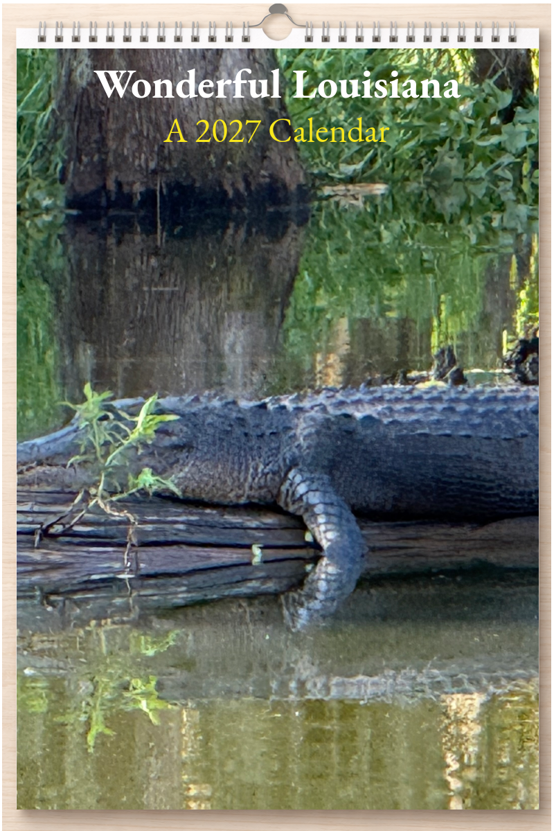 Wonderful Louisiana: A 2027 Calendar
