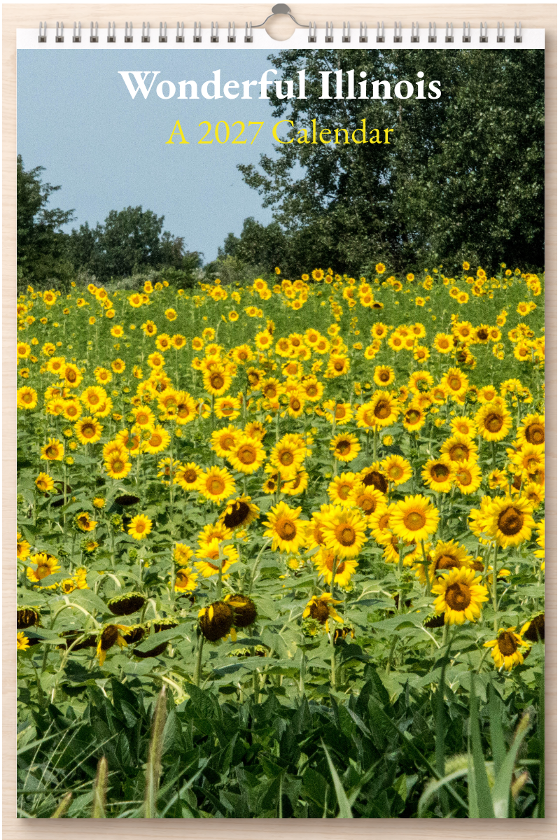 Wonderful Illinois: A 2027 Calendar